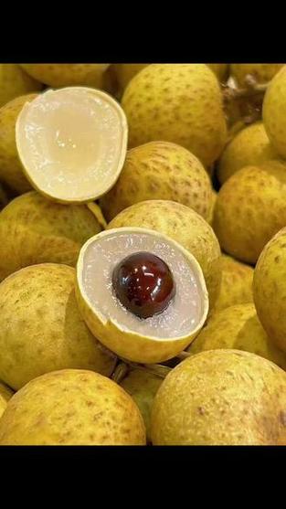 龙眼核最小品种是哪个?-图2 龙眼核最小品种是哪个?-图2