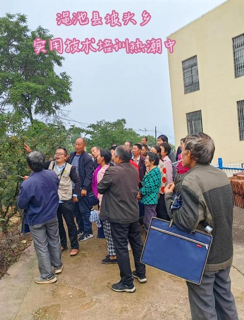 广东蝇蛆养殖技术，培训内容有哪些？-图2