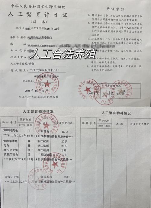 龟鳖养殖技术证书考试难不难?-图3 龟鳖养殖技术证书考试难不难?-图3