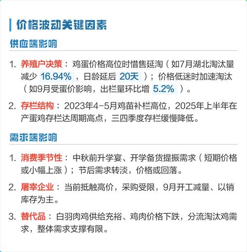 山东今日淘汰鸡价格多少钱一斤？-图2