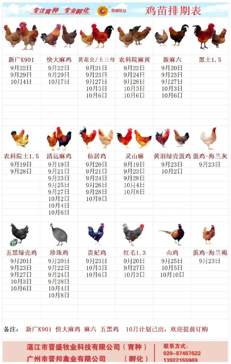 肉鸡产品价格怎么查？-图2