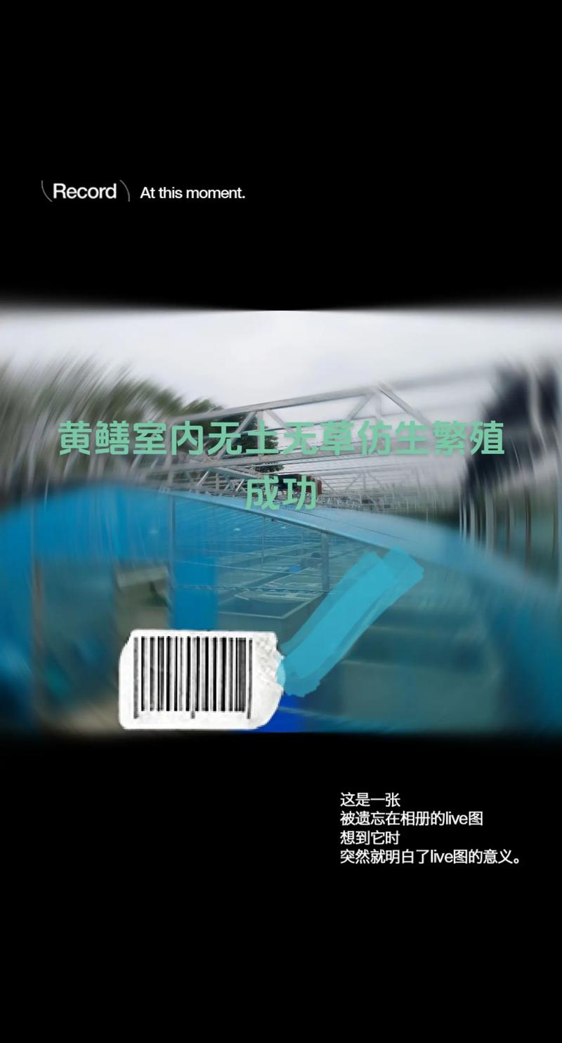 室内鳝鱼无土养殖技术可行吗？-图2