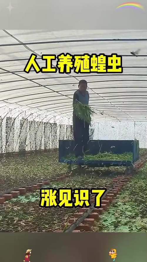 央视水蛭养殖技术视频靠谱吗?-图2 央视水蛭养殖技术视频靠谱吗?-图2