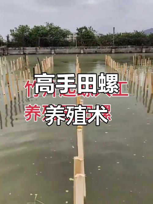 农业养殖技术视频教程怎么学更高效？-图3