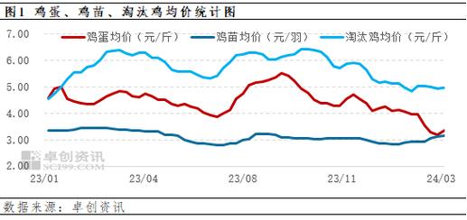 今日固始淘汰蛋鸡价格多少钱一斤？-图2