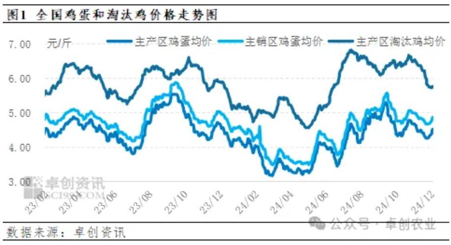 今日固始淘汰蛋鸡价格多少钱一斤？-图3
