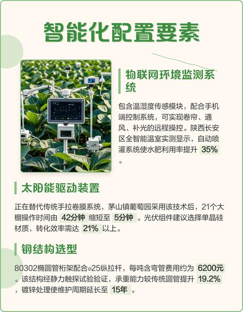 最新大棚青菜种植技术有哪些关键要点?-图1 最新大棚青菜种植技术有哪些关键要点?-图1