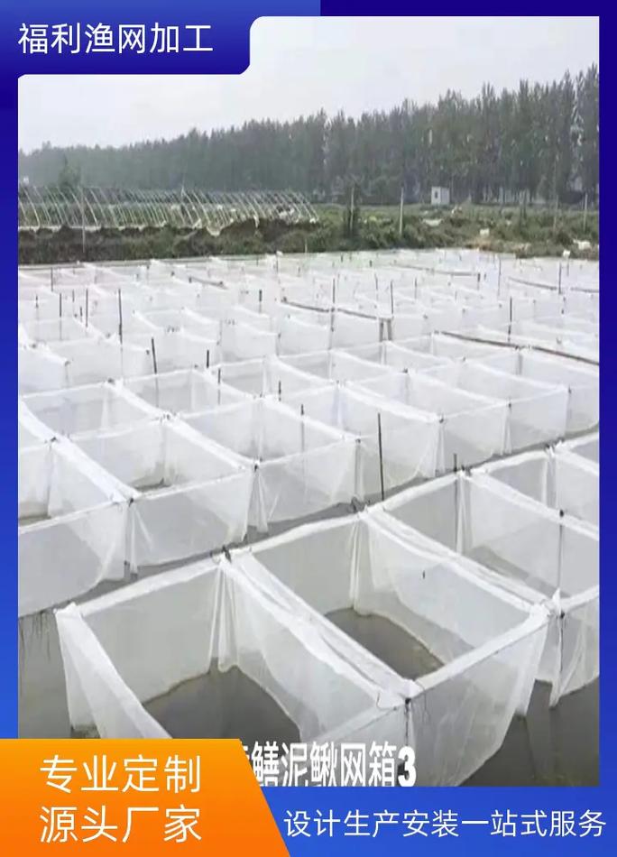 网箱无土养殖泥鳅技术难点有哪些？-图1