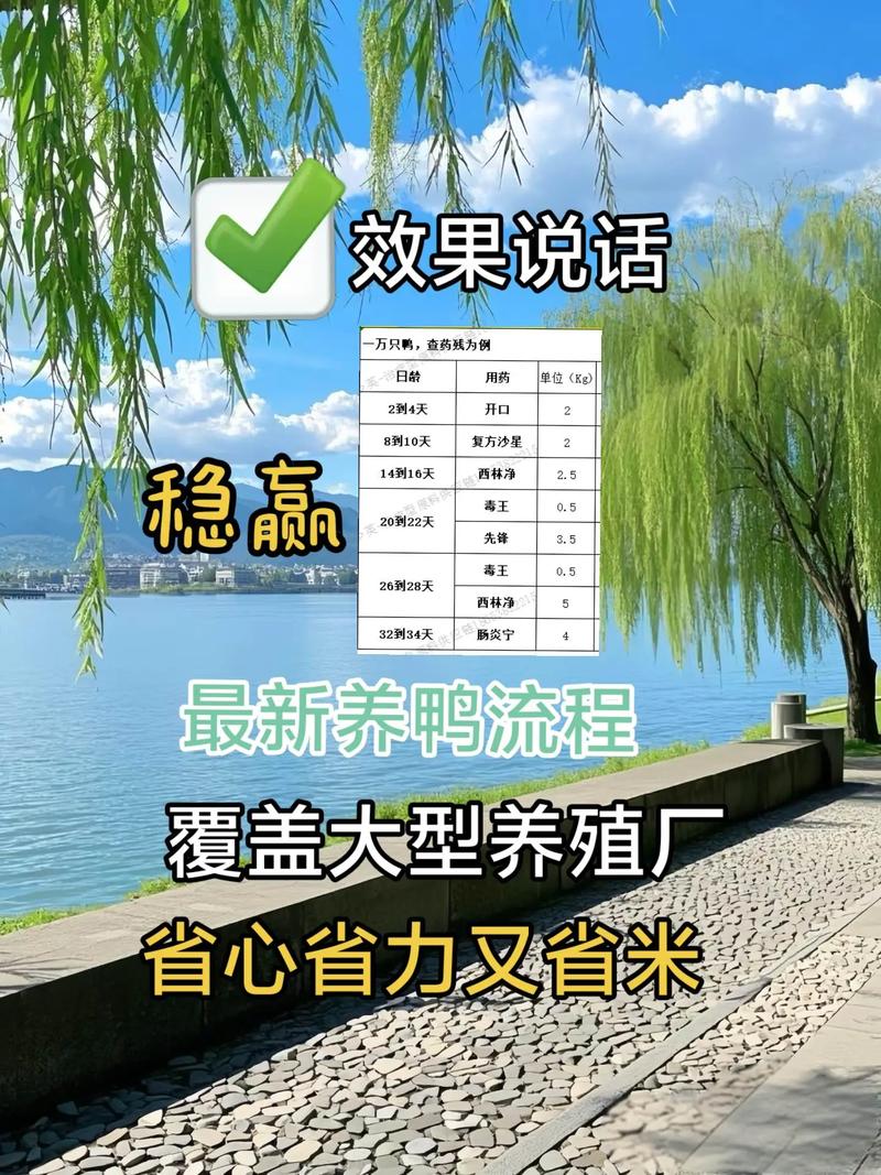 如何通过视频学会养鸭防病技术?-图3 如何通过视频学会养鸭防病技术?-图3