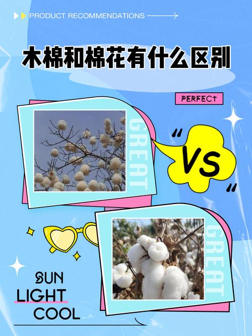 棉花品种有哪些？农广天地来介绍。-图2
