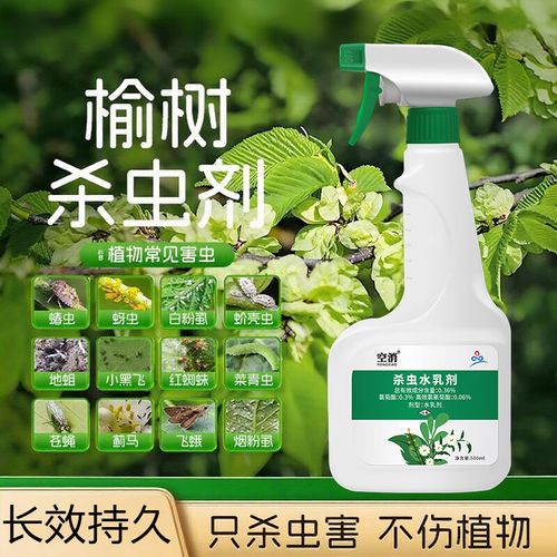 榆树常见虫害有哪些防治技术?-图1 榆树常见虫害有哪些防治技术?-图1