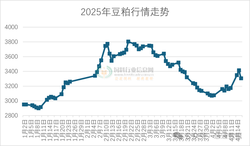 今日新疆豆粕价格如何？-图2
