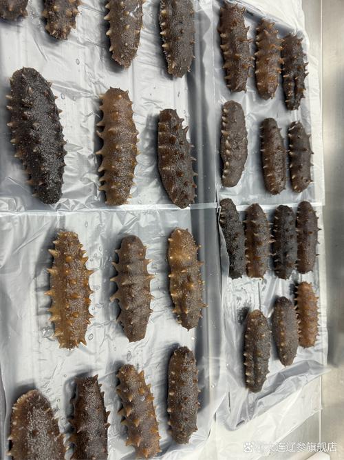 哪些海参品种最差？-图3