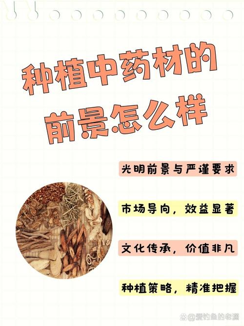 中草药种植技术app-图3 中草药种植技术app-图3