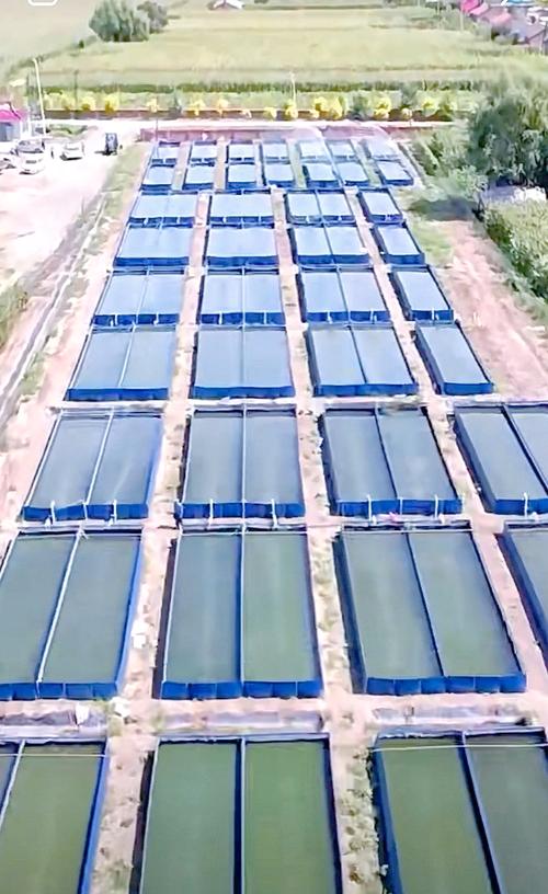 北方立体水蛭养殖技术有何关键要点?-图1 北方立体水蛭养殖技术有何关键要点?-图1