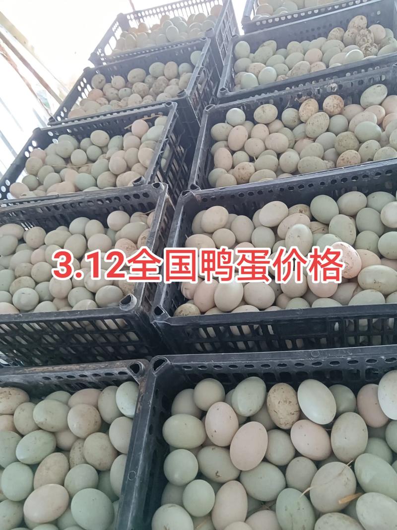 湖南益阳今日鸭蛋价格多少钱一斤？-图1