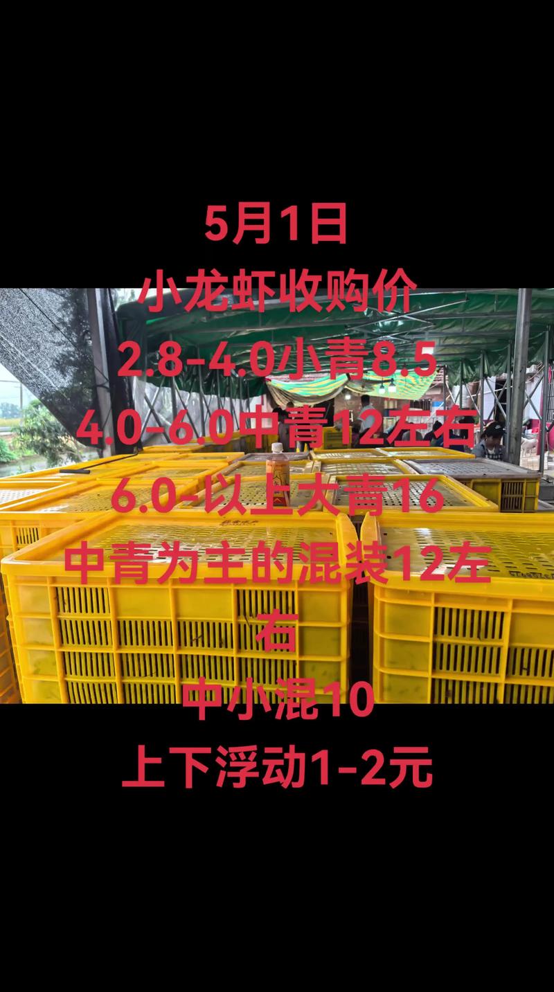 2025年云南虾价会涨还是跌？-图1