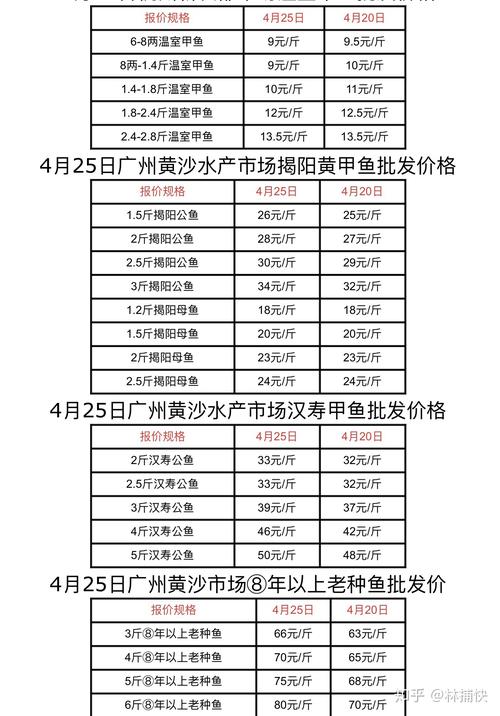 天津温室甲鱼价格现在多少？-图2