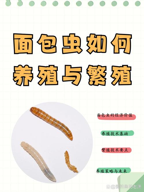 黄粉虫养殖咋赚钱？技术销售有啥诀窍？-图1