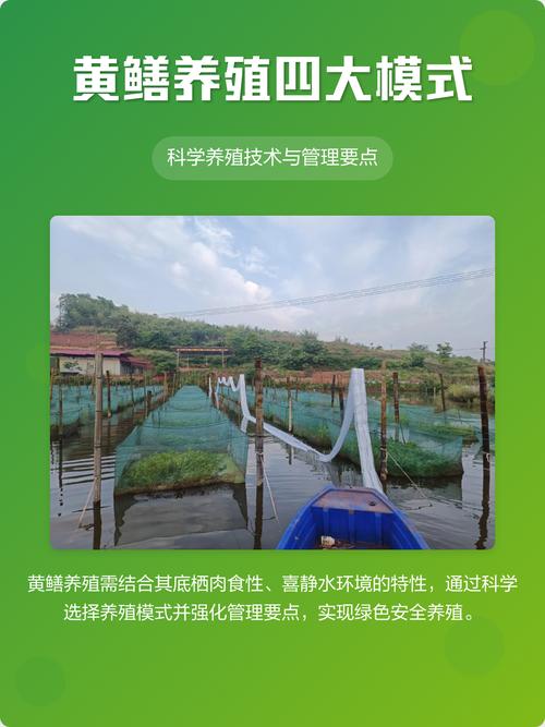 酒店黄鳝怎么养殖技术-图1 酒店黄鳝怎么养殖技术-图1