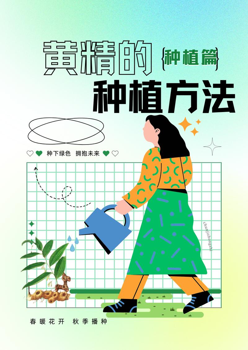 东北黄精种植技术要点有哪些？-图1