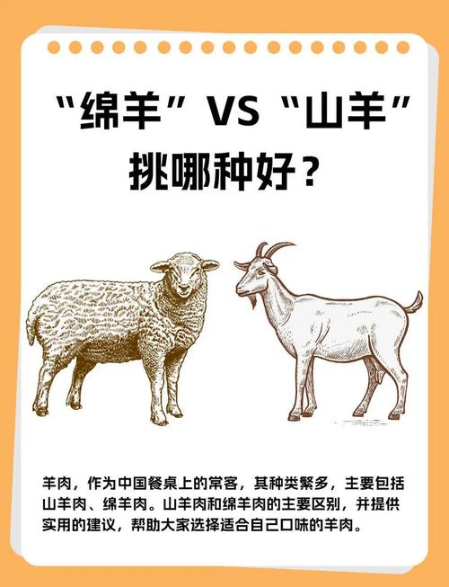 想了解所有羊品种及图片吗?-图1 想了解所有羊品种及图片吗?-图1