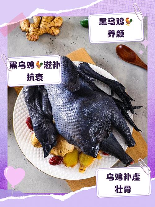 哪里能学到正宗的乌鸡养殖技术?-图1 哪里能学到正宗的乌鸡养殖技术?-图1