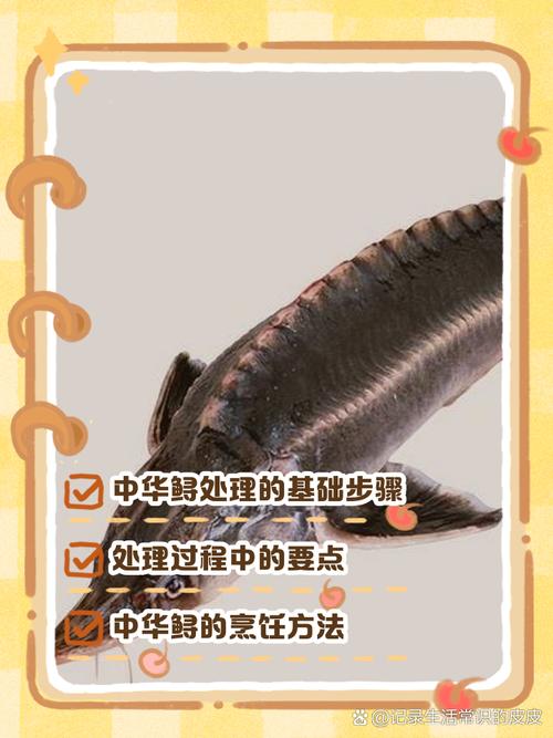 鲟鱼人工养殖技术难点有哪些？-图2