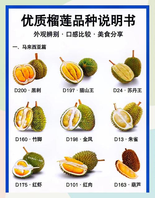 什么品种的榴莲便宜点-图2