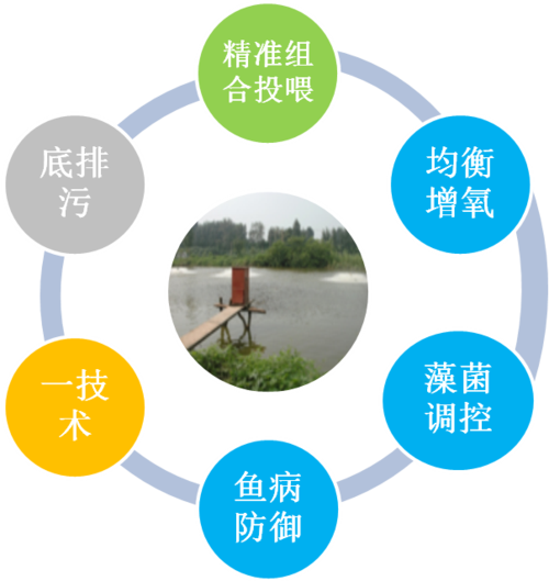 中国水产养殖技术有哪些新突破？-图1