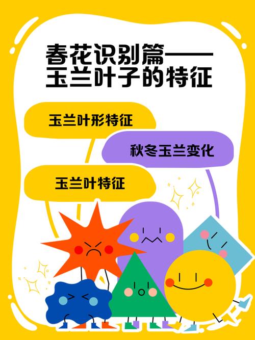 兰花品种如何从叶子辨？-图1