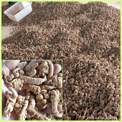 2025鲜三七价格会涨还是跌?-图3 2025鲜三七价格会涨还是跌?-图3