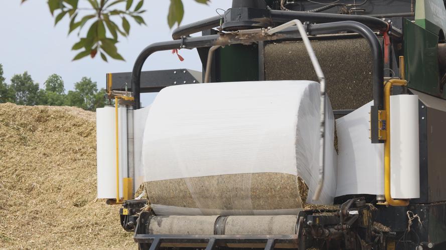 秸秆饲料转化技术如何高效利用？-图2