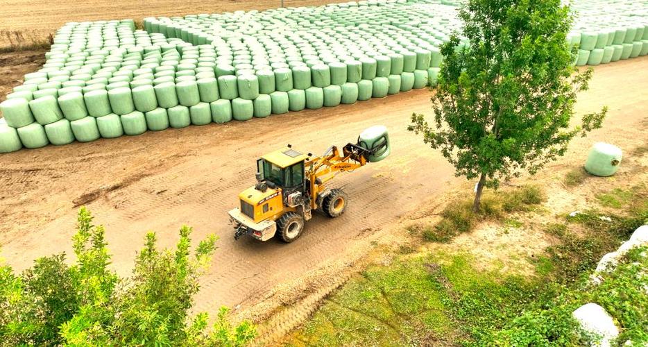 秸秆饲料转化技术如何高效利用？-图3