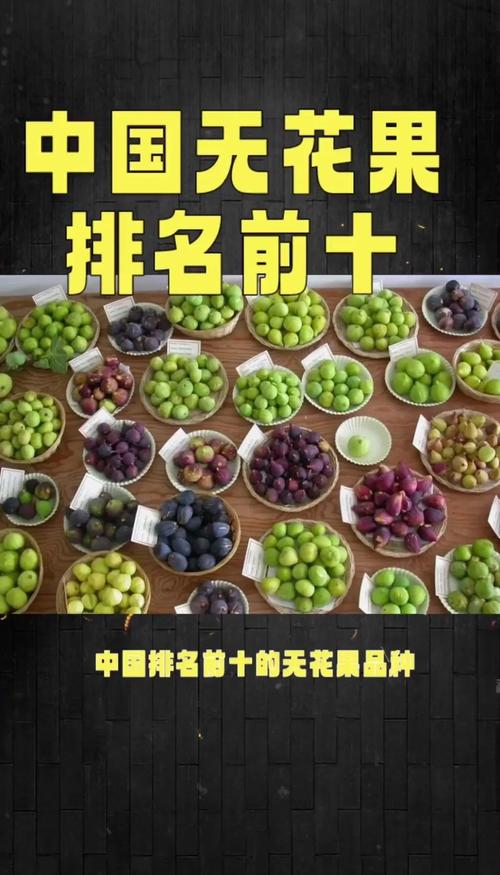 无花果品种那么多，到底哪些最适合在家种？-图3