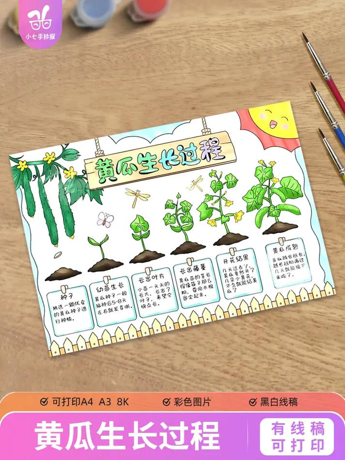 黄瓜幼苗怎么种才高产？-图1