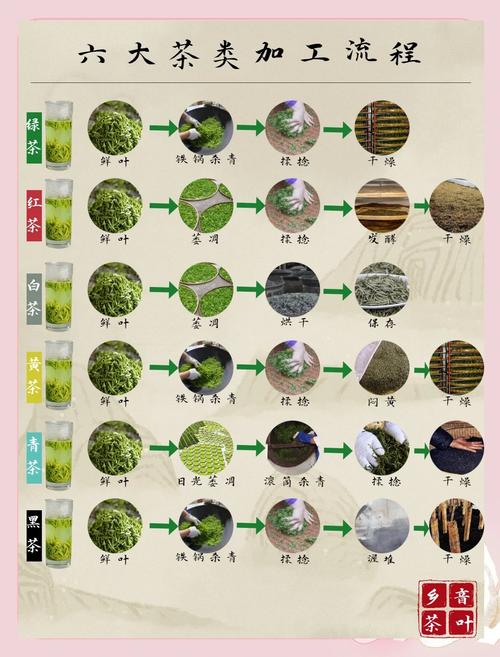 现代茶叶种植技术有哪些新突破？-图2