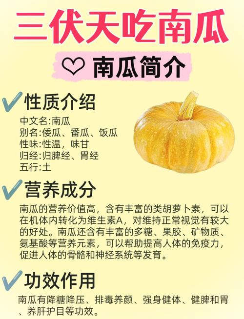 种植什么南瓜品种赚钱-图2