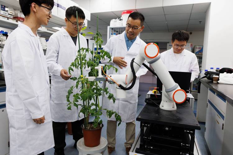 人工繁育大眼幼体技术，如何突破瓶颈实现高产？-图2