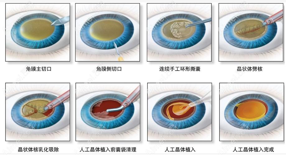 人工繁育大眼幼体技术，如何突破瓶颈实现高产？-图3