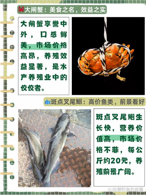 水产养殖主养品种有哪些？-图2