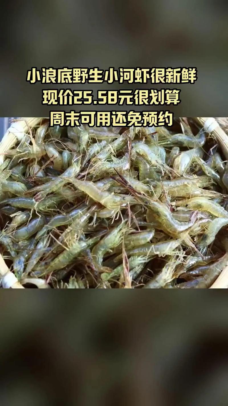 2025年小河虾价格会涨还是跌？-图2