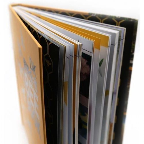 蜜蜂养殖技术光盘哪里买？-图1