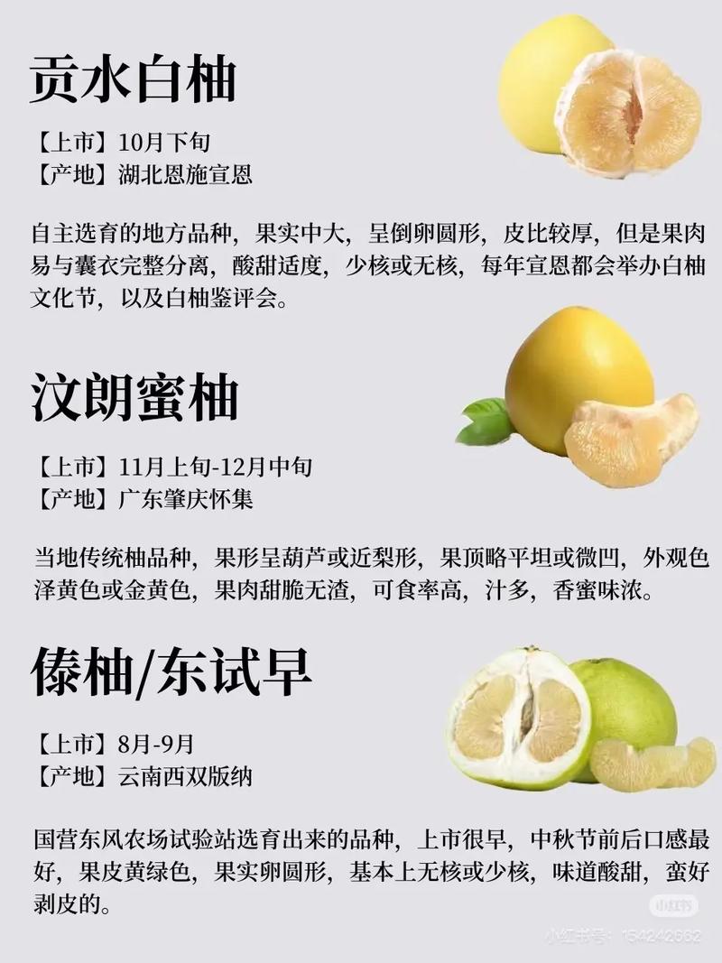 南方适合种哪些柚子品种?-图1 南方适合种哪些柚子品种?-图1