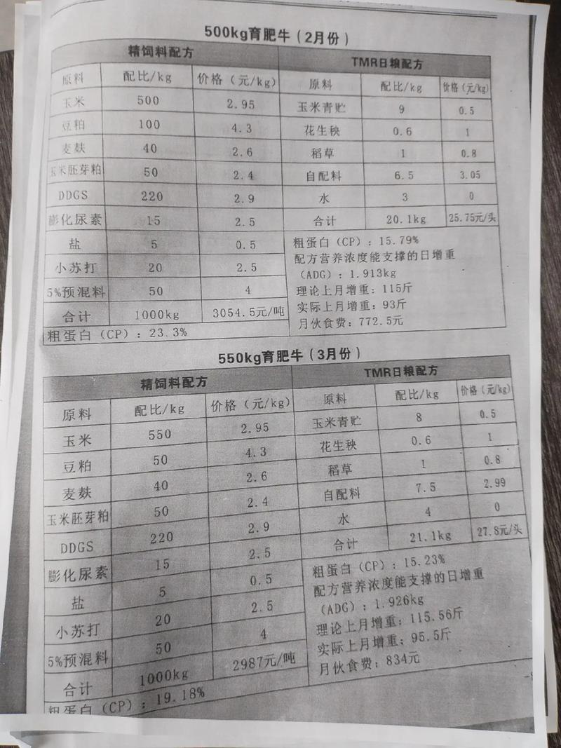 牛饲料排行怎么选？养牛技术有哪些关键？-图1
