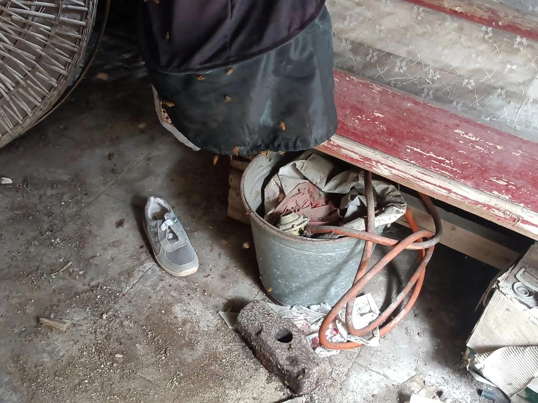 中华蜜蜂石洞诱捕技术怎么操作?-图2 中华蜜蜂石洞诱捕技术怎么操作?-图2