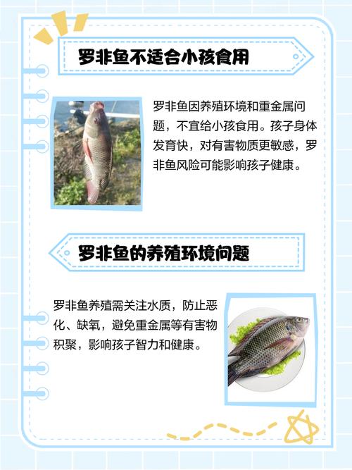 海南罗非鱼每斤价格是多少？-图2