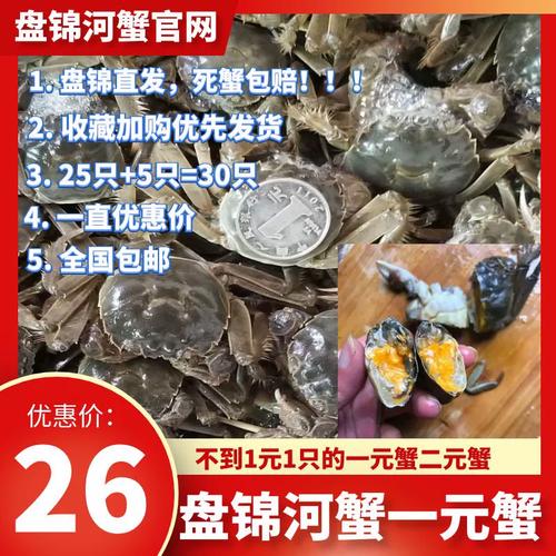 盘锦河蟹最新价格多少钱一斤？-图1