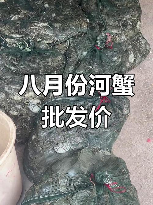 盘锦河蟹最新价格多少钱一斤？-图2