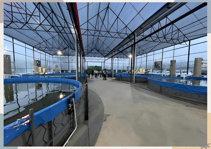 特种水产如何高效养殖？-图1